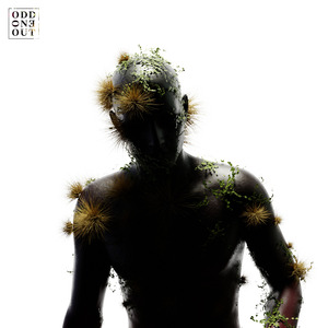 网站大全黄免费
